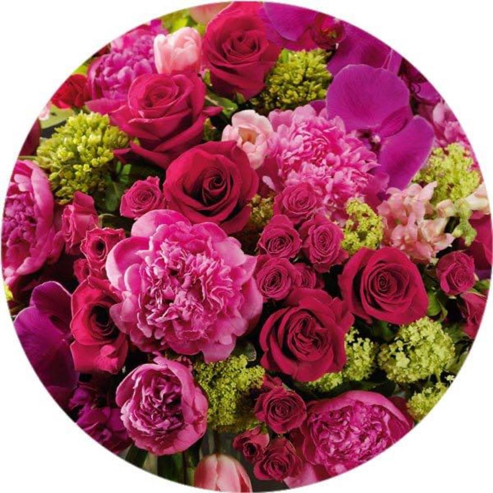 Meet your Posher, Katey